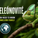 chameleónovité