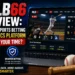 mlb66