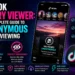 TikTok Story Viewer