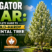 Navigator Pear